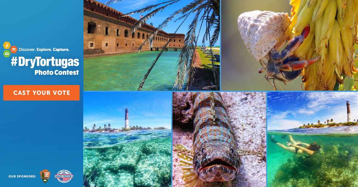 #DryTortugas Photo Contest by Yankee Freedom Ferry