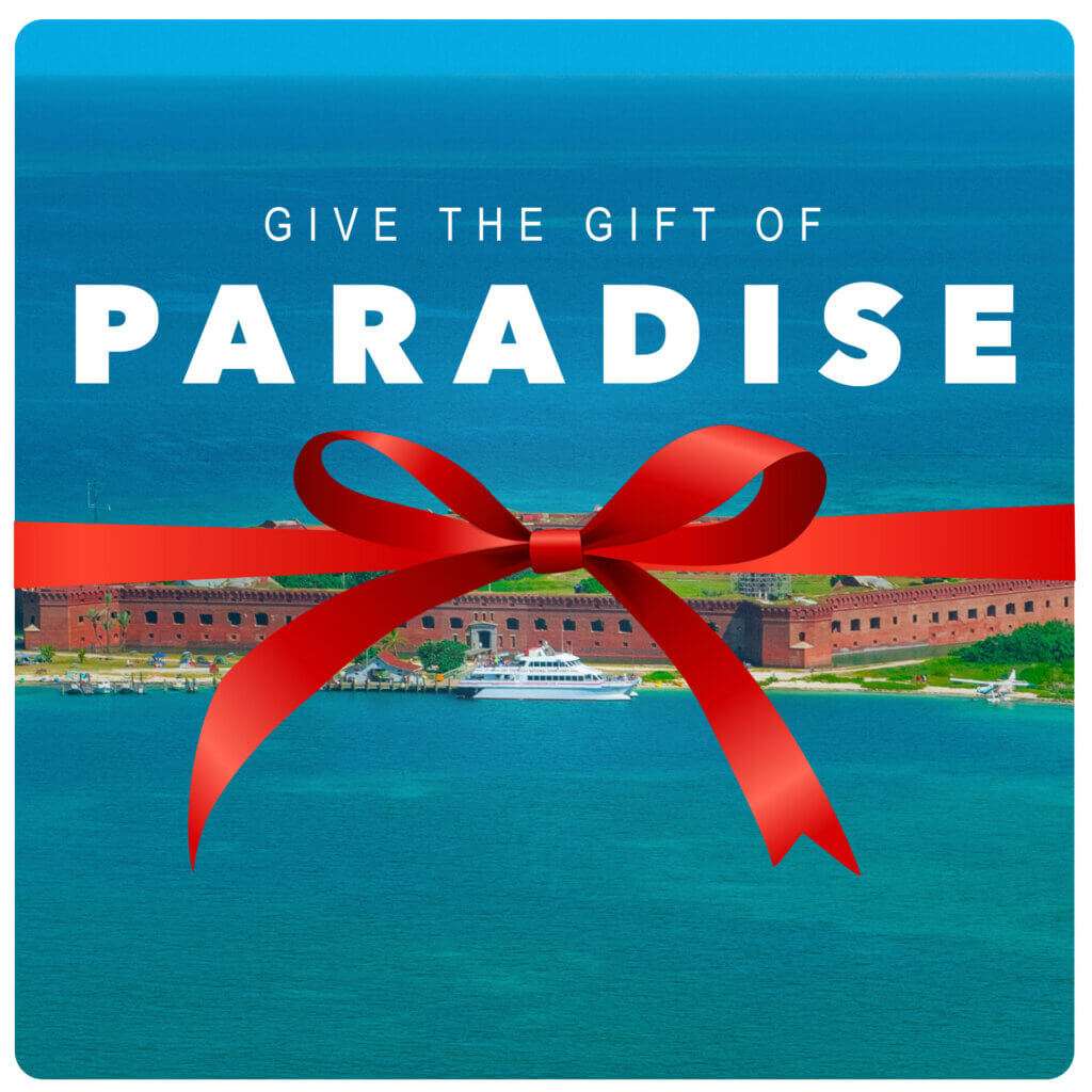 give the gift of paradise