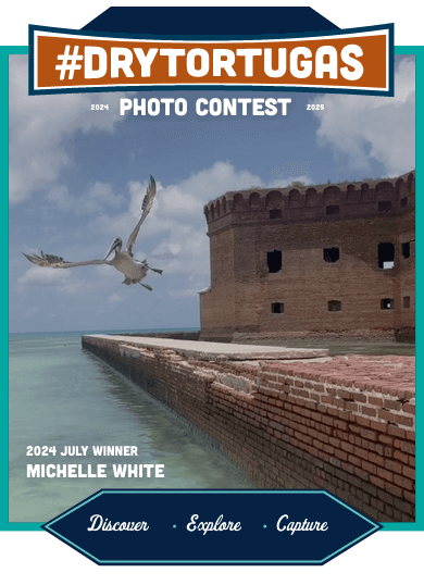 Winning Monthly Contest Photo