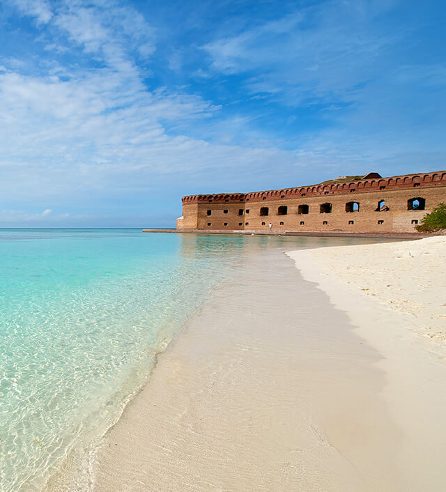 photo of a sea turtle in the dry tortugas