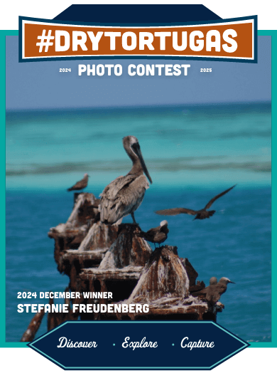 Winning Monthly Contest Photo